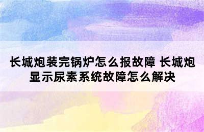 长城炮装完锅炉怎么报故障 长城炮显示尿素系统故障怎么解决